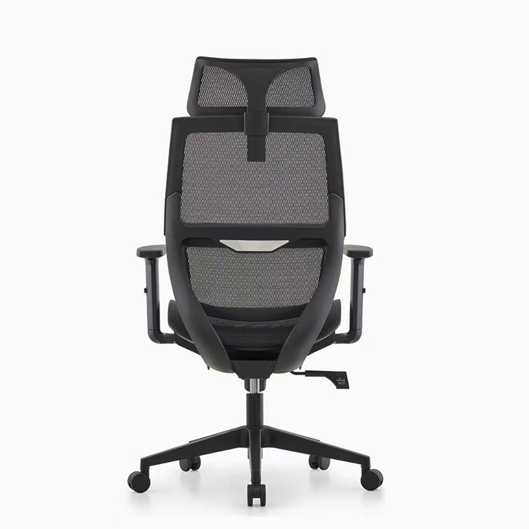 RUNZHI W187A Ergonomics Chair