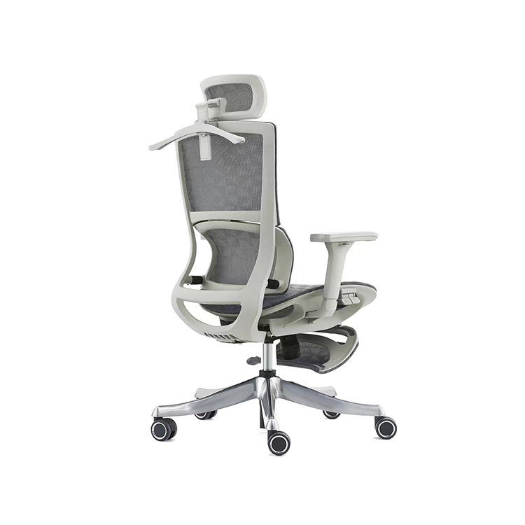 RUNZHI 779AL Ergonomics Chair & Footrest