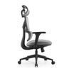 RUNZHI M192A Ergonomics Chair 