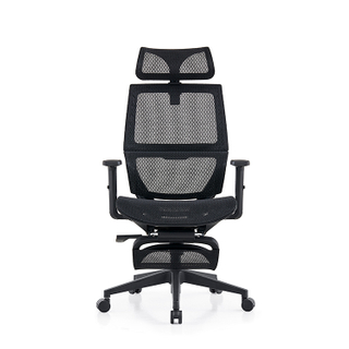 RUNZHI LW187AL Ergonomics Chair