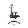 RUNZHI 779A Ergonomics Chair